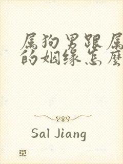 属狗男跟属鸡女的姻缘怎么样