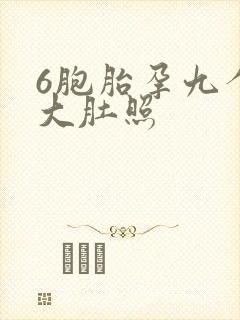 6胞胎孕九个月大肚照