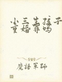 小三生孩子了算重婚罪吗