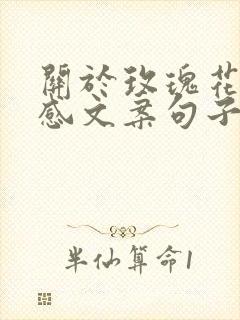 关于玫瑰花高级感文案句子