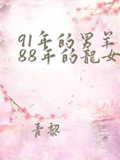 91年的男羊和88年的龙女婚配如何