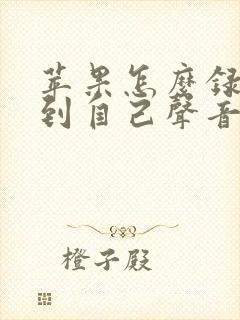 苹果怎么录屏录到自己声音