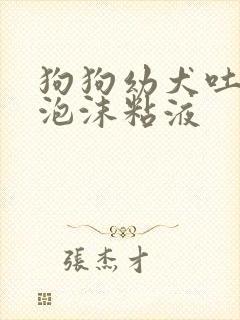 狗狗幼犬吐白色泡沫粘液