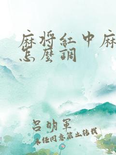 麻将红中麻将机怎么调