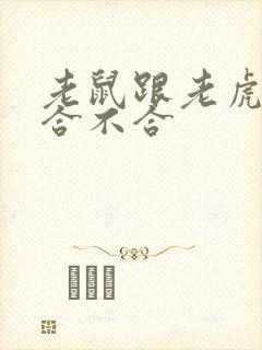 老鼠跟老虎属相合不合