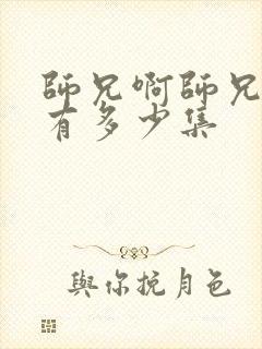 师兄啊师兄总共有多少集