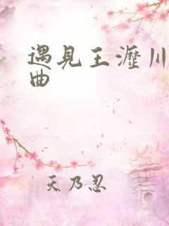 遇见王沥川 歌曲