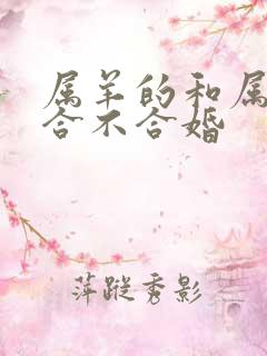 属羊的和属鼠的合不合婚