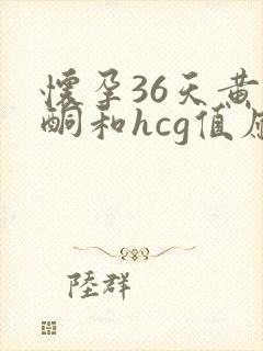 怀孕36天黄体酮和hcg值应该多少