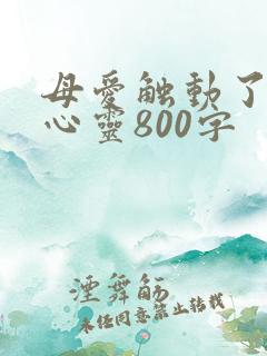 母爱触动了我的心灵800字