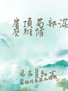 房顶局部漏水怎么维修