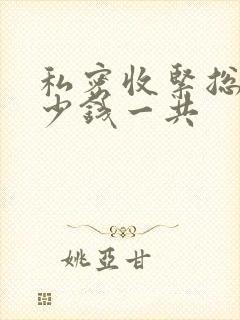 私密收紧总共多少钱一共