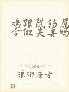 鸡跟鼠的属相适合做夫妻吗