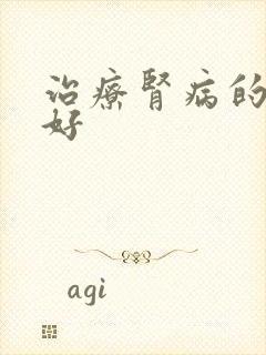 治疗肾病的食物好