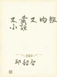 又黄又肉粗暴的小说