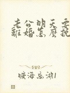 老公明天要跟我离婚怎么挽回