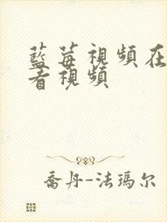 蓝莓视频在线观看视频