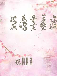 因为爱着你的爱原唱完整版