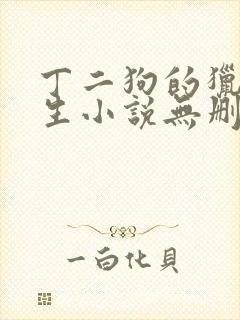 丁二狗的猎艳人生小说无删减小说