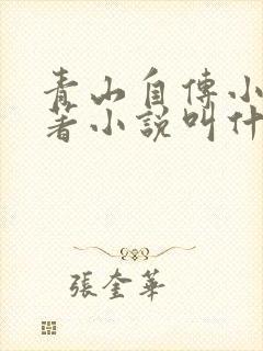 青山自传小说原著小说叫什么名字