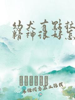 幼犬有点拉稀但精神很好怎么办