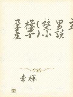 孕楼(双男主,产子)小说