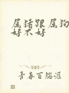 属猪跟属狗婚配好不好