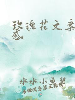 玫瑰花文案高级感