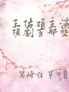 王佑硕主演的电视剧有哪些