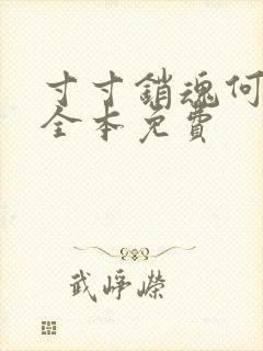 寸寸销魂何生祥全本免费