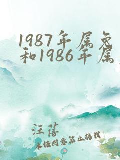 1987年属兔和1986年属虎姻缘怎么样