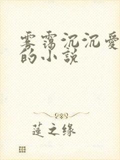 雾霭沉沉爱成殇的小说