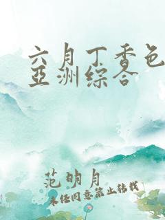 六月丁香色婷婷亚洲综合