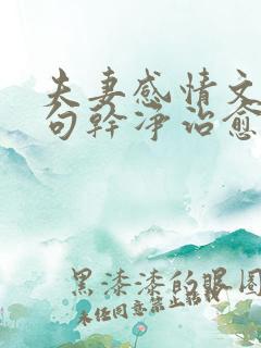 夫妻感情文案短句干净治愈