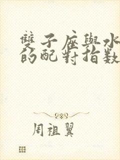 双子座与水瓶座的配对指数