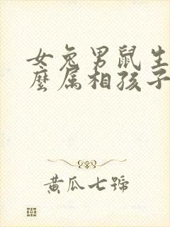 女兔男鼠生个什么属相孩子