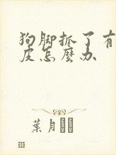 狗脚抓了有点破皮怎么办