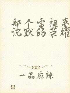 哪个电视台播放沉默的荣耀电视剧