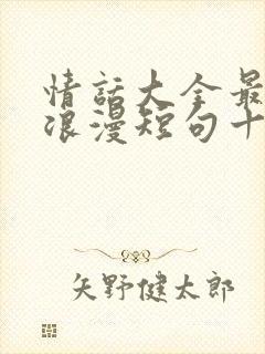 情话大全最暖心浪漫短句十字以内