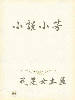小说小芳