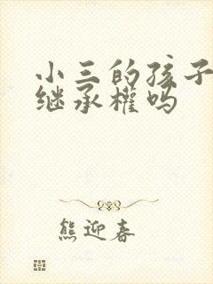 小三的孩子 有继承权吗