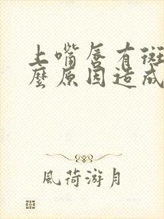 上嘴唇有斑是什么原因造成的