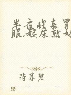 半夜醒来胃不舒服,起床就好多了