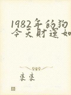 1982年的狗今天财运如何