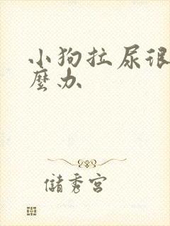 小狗拉尿很臭怎么办