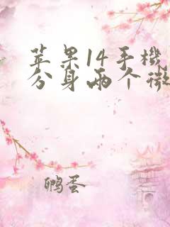 苹果14手机能分身两个微信吗