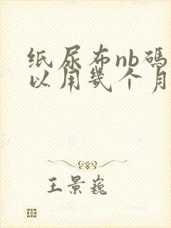 纸尿布nb码可以用几个月