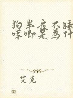 狗半夜不睡觉总哼唧是为什么