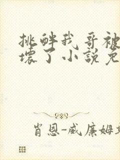 挑衅我哥被欺负坏了小说免费阅读