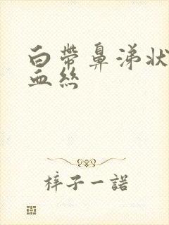 白带鼻涕状 带血丝